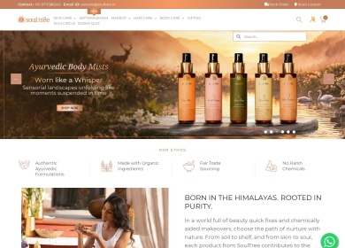 SoulTree — Popup-Ready Homepage (Best Practice)
